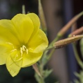 20160716_D725856_.jpg