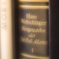 20160723_D726010_Herzgewächse.jpg