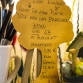 20160906_D726598_für GreenPeace.jpg