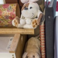 20160906_D726631_Andenkensammlung.jpg