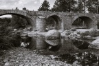 Source du Tarn - Pont romain