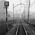 1990-010-04.jpg