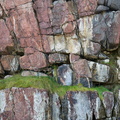 20190923_124452_DSC4209_F4.jpg