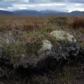 20190924_112110_DSF1319_F4.jpg