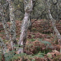 20190927_181959_DSF2068_F4.jpg