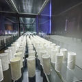 translucent-46.jpg