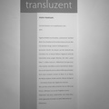 translucent-45.jpg