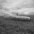 darktable.5XJH80.jpg