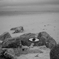 darktable.8PYR80.jpg