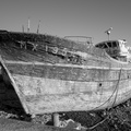 20210716_205700_L1002771.jpg