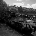 20210522_163905_L1001677.jpg