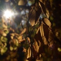 20221030_133653_L1010639.jpg