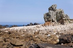 Ouessant - Pointe de Pern