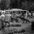 20250613_104115_M10M9947.jpg