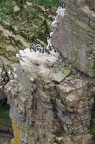 Cap Fréhel