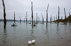 Port de Gwin-Zédal